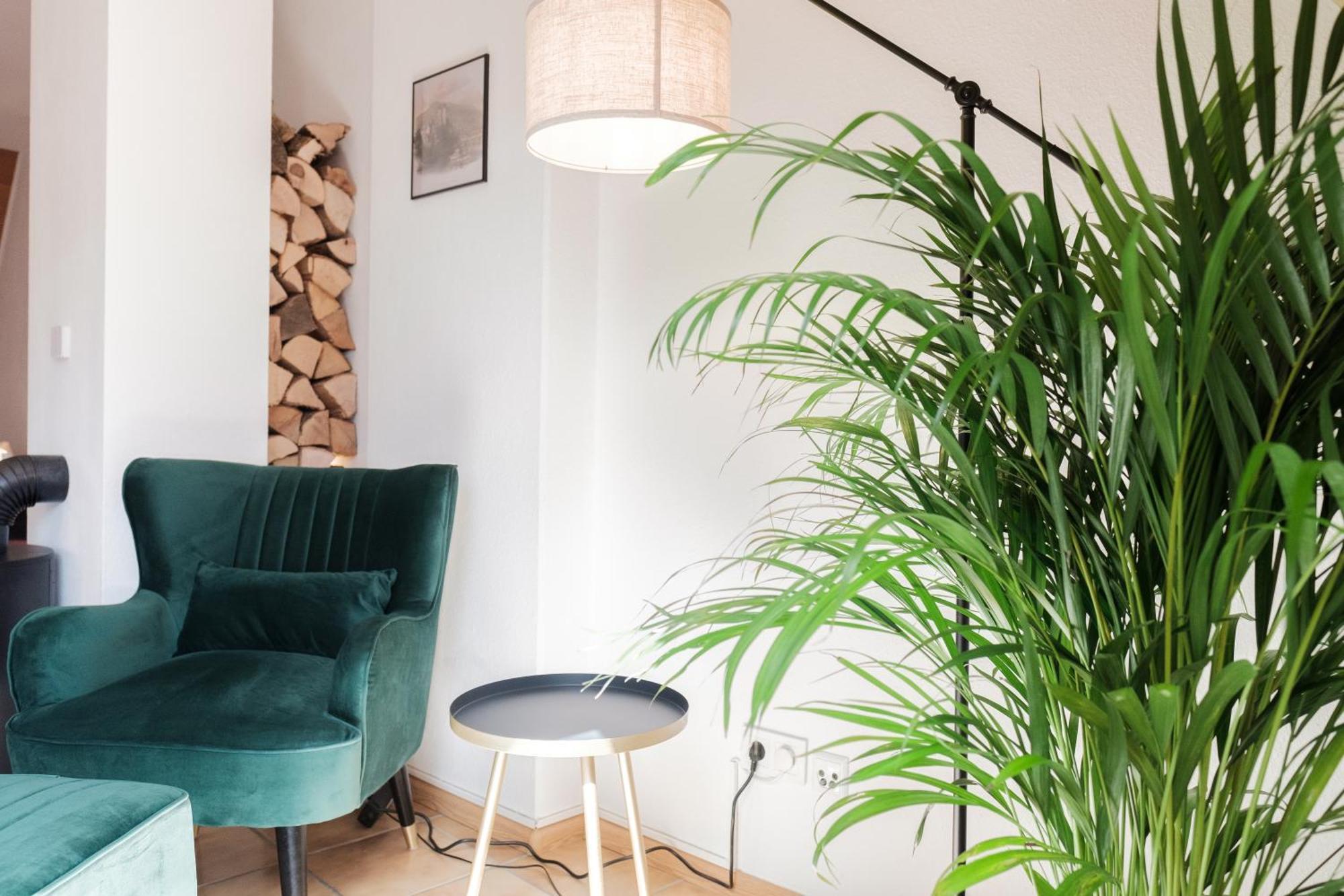 Neu Deluxe Suite Muensterblick, Maisonette, Kingsize Bett, Kueche, Netflix, Aussicht, E-Kamin Bad Säckingen Eksteriør billede