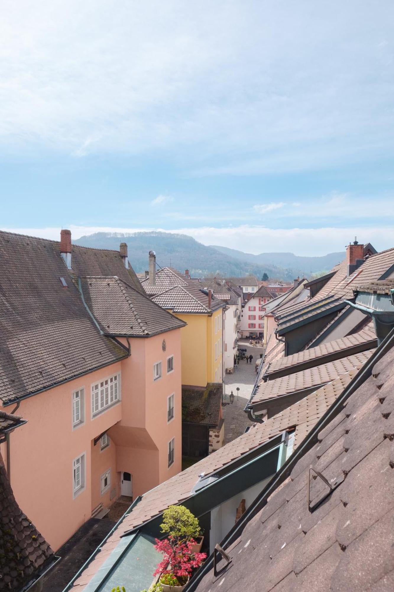 Neu Deluxe Suite Muensterblick, Maisonette, Kingsize Bett, Kueche, Netflix, Aussicht, E-Kamin Bad Säckingen Eksteriør billede